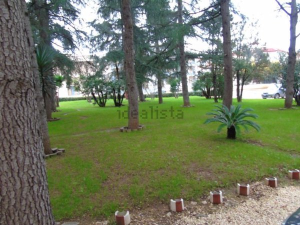 appartamento in vendita a Turi