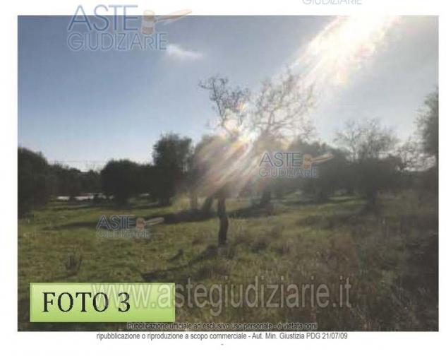 terreno agricolo in vendita a Valenzano