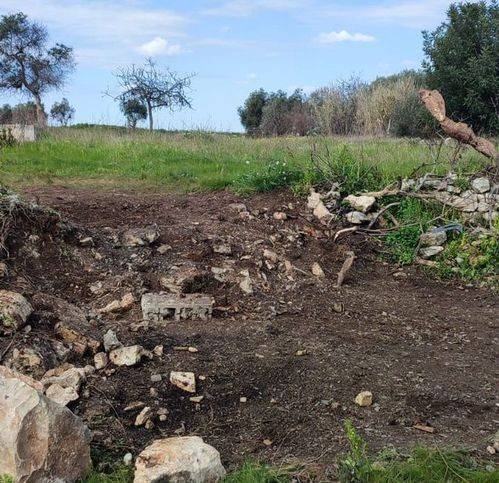 terreno agricolo in vendita a Valenzano