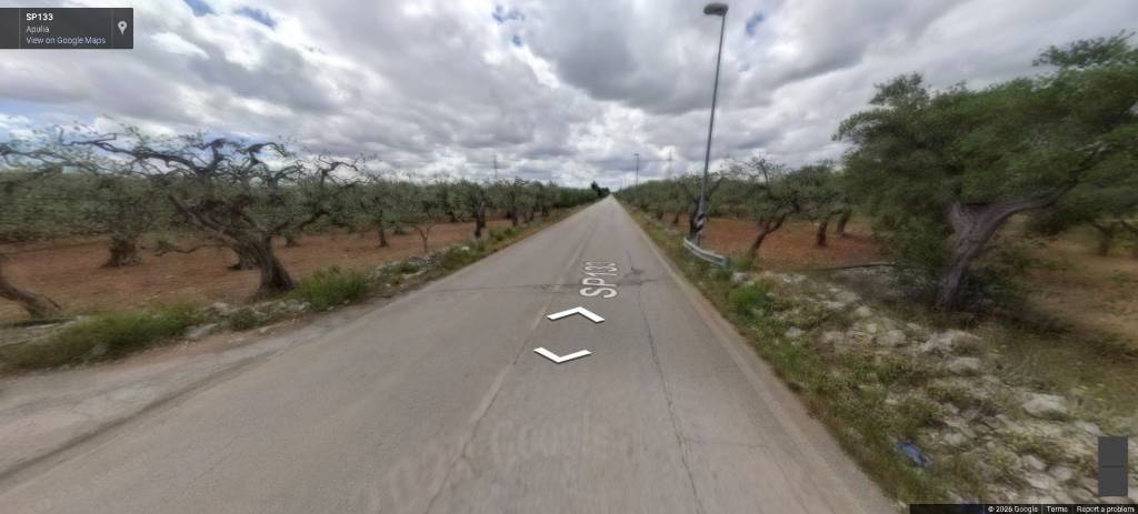 terreno agricolo in vendita a Valenzano