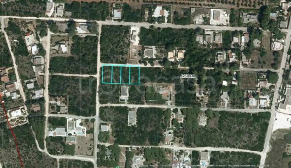 terreno agricolo in vendita ad Avetrana