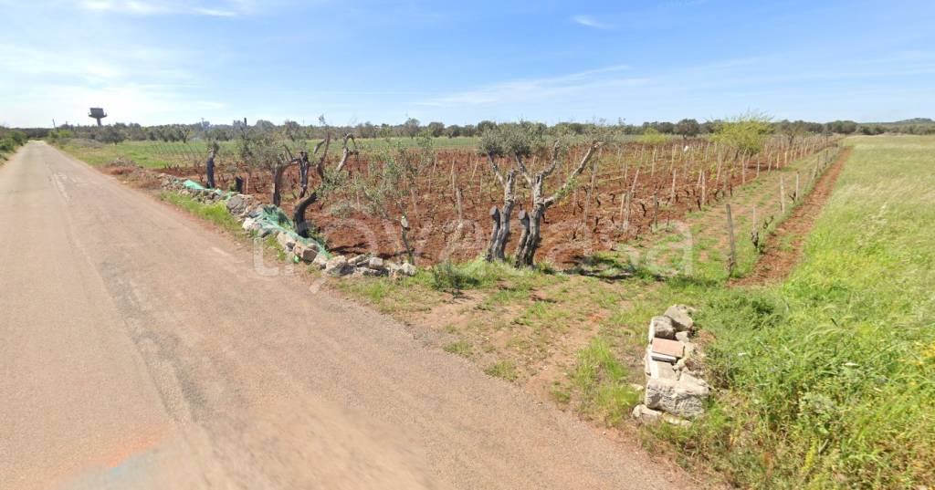 terreno agricolo in vendita ad Avetrana