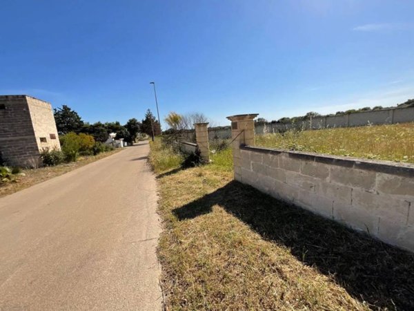 terreno agricolo in vendita ad Avetrana