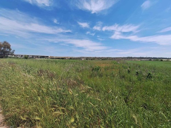 terreno agricolo in vendita ad Avetrana