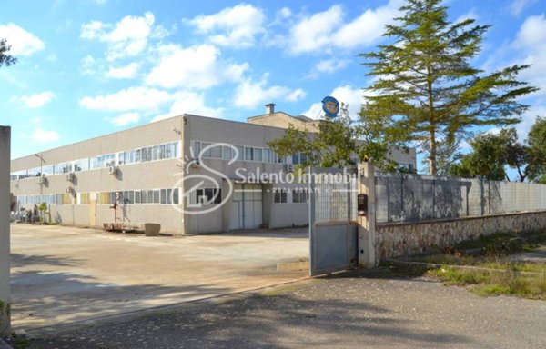 negozio in vendita ad Avetrana