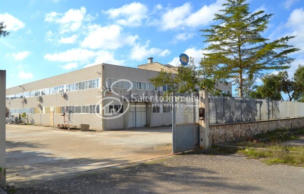 terreno edificabile in vendita ad Avetrana