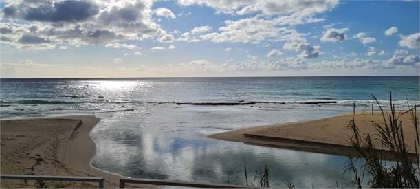 terreno agricolo in vendita ad Avetrana