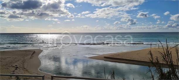 terreno agricolo in vendita ad Avetrana