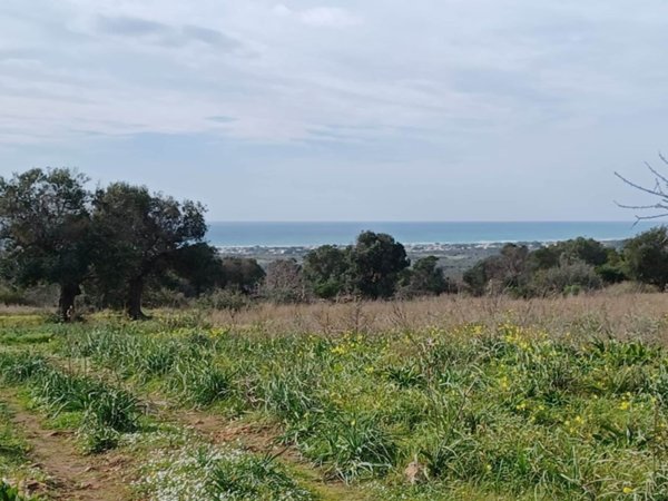 terreno agricolo in vendita ad Avetrana