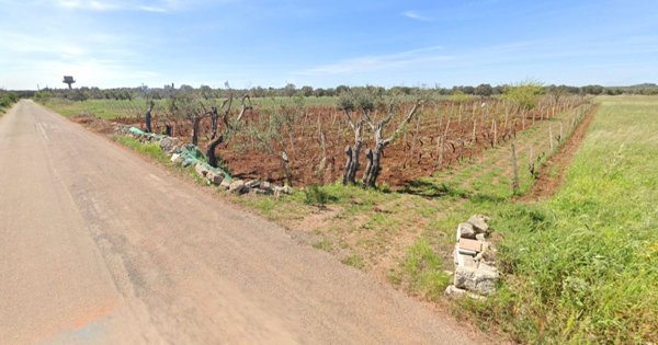 terreno agricolo in vendita ad Avetrana