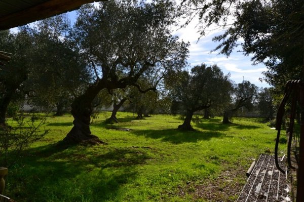 terreno in vendita ad Avetrana