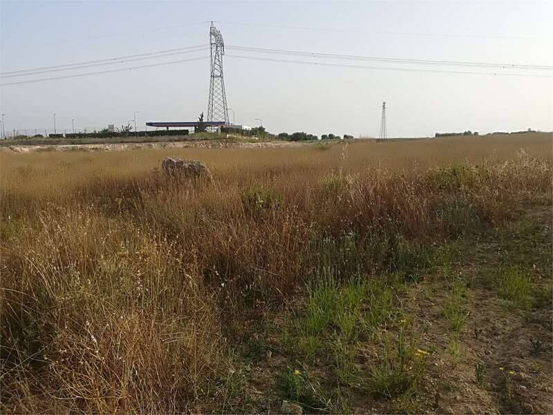 terreno agricolo in vendita a Carosino