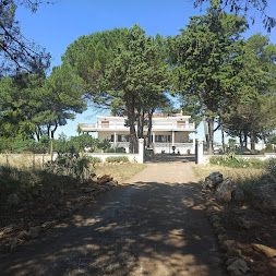 casa indipendente in vendita a Castellaneta
