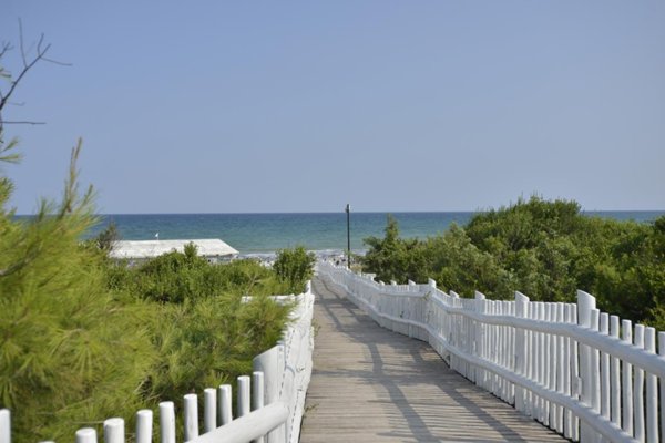 immagine annuncio 0 di 15