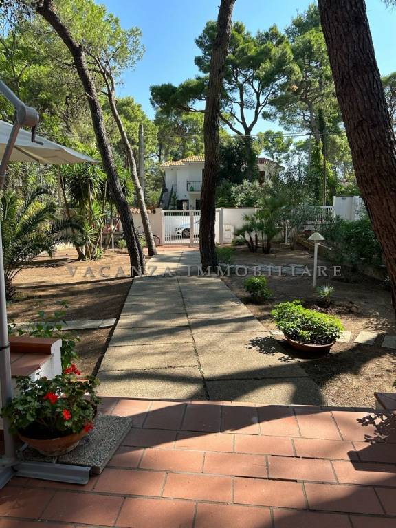casa indipendente in vendita a Castellaneta