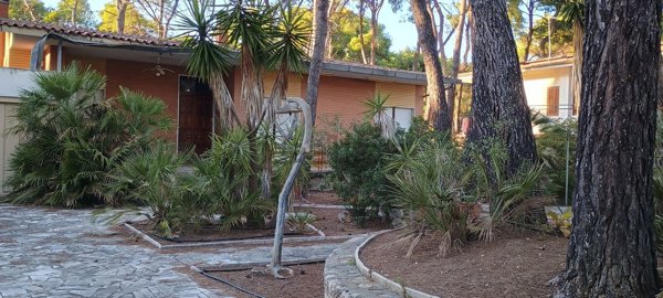 casa indipendente in vendita a Castellaneta