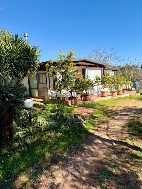 pentavano in vendita a Castellaneta