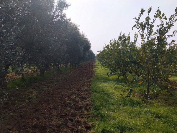 appartamento in vendita a Castellaneta