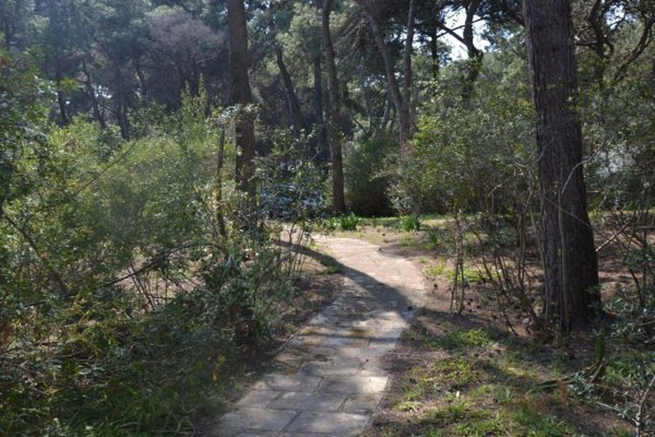 casa indipendente in vendita a Castellaneta