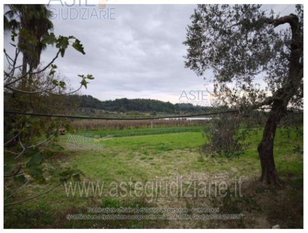 terreno edificabile in vendita a Castellaneta