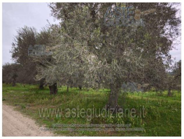 appartamento in vendita a Castellaneta