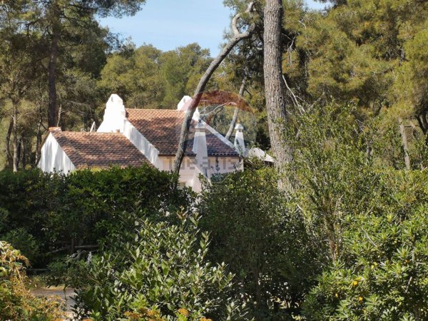 casa indipendente in vendita a Castellaneta