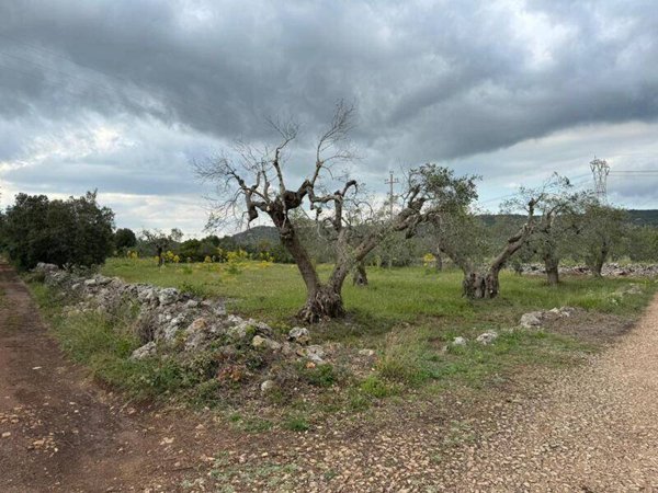 terreno agricolo in vendita a Crispiano