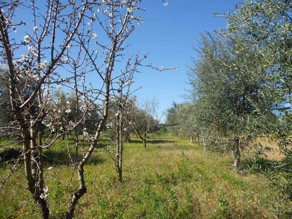 terreno agricolo in vendita a Crispiano