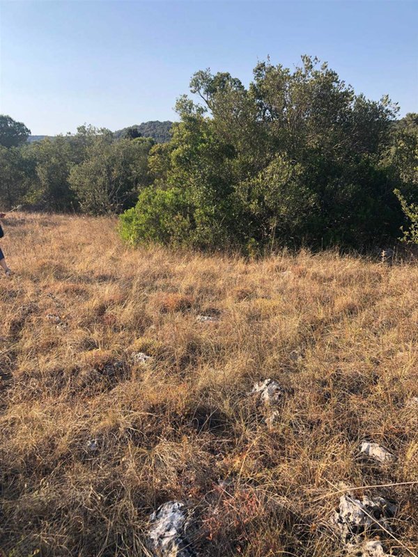 terreno agricolo in vendita a Crispiano