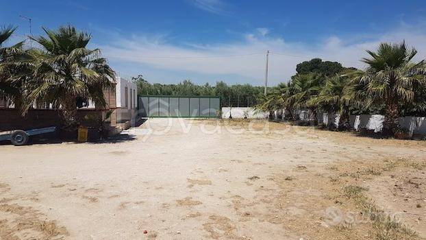 azienda agricola in vendita a Crispiano
