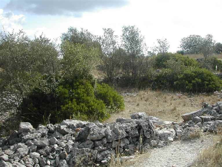terreno agricolo in vendita a Crispiano
