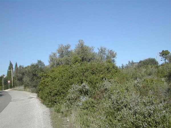 terreno agricolo in vendita a Crispiano
