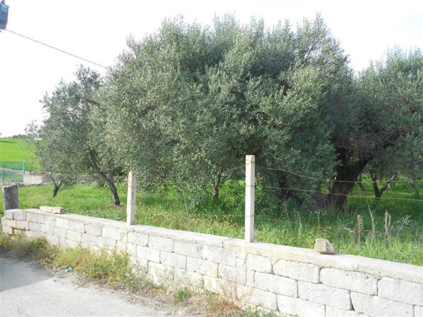 terreno agricolo in vendita a Crispiano