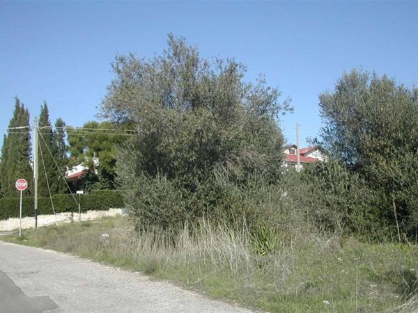 terreno agricolo in vendita a Crispiano
