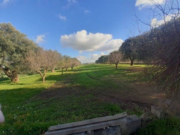 terreno agricolo in vendita a Crispiano in zona San Simone