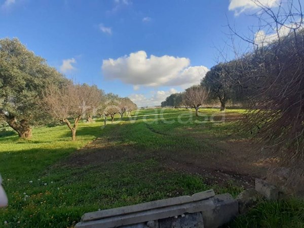 terreno agricolo in vendita a Crispiano in zona San Simone