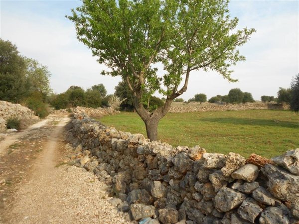 terreno agricolo in vendita a Crispiano