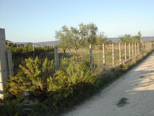 terreno agricolo in vendita a Crispiano