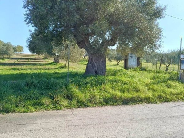 terreno agricolo in vendita a Crispiano