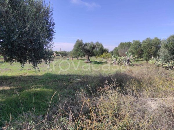 terreno agricolo in vendita a Crispiano