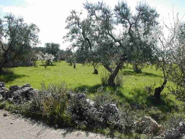 terreno in vendita a Crispiano