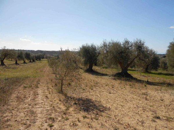 terreno agricolo in vendita a Crispiano