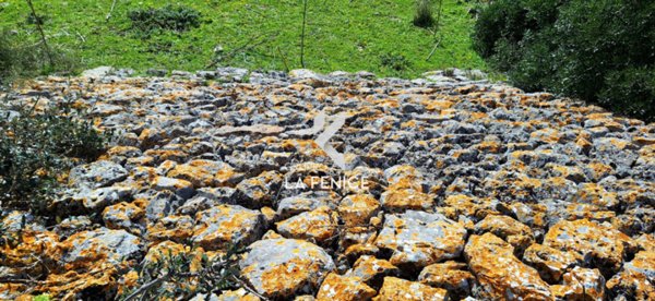 casale in vendita a Crispiano
