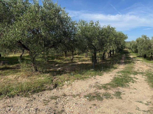 terreno agricolo in vendita a Crispiano