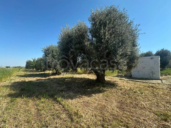 terreno agricolo in vendita a Crispiano in zona San Simone