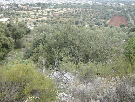 terreno in vendita a Crispiano