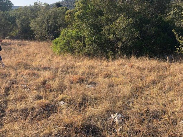 terreno agricolo in vendita a Crispiano in zona San Simone