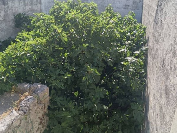 appartamento in vendita a Crispiano