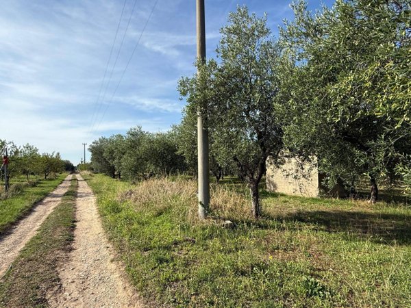 terreno agricolo in vendita a Crispiano