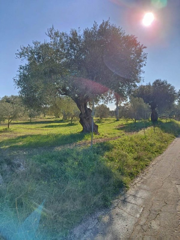 terreno agricolo in vendita a Crispiano in zona San Simone